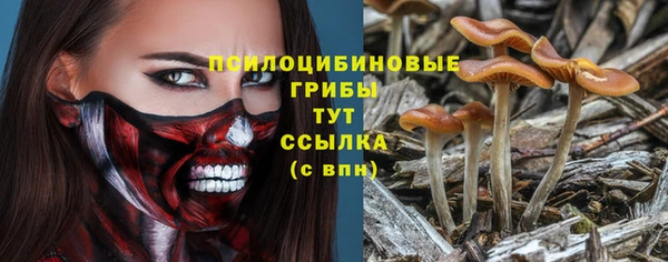 мдпв Балабаново